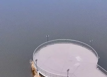 Изображение для новости: «Сделайте подарок городу»: в Костанае появятся лебеди — видео