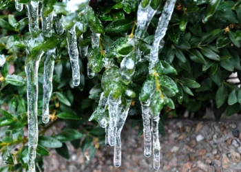 Изображение для новости: Погода с сюрпризом: прогноз от костанайских синоптиков