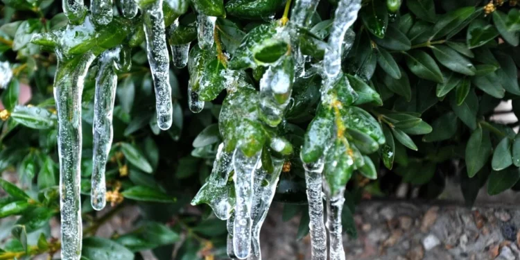 Изображение для новости: Погода с сюрпризом: прогноз от костанайских синоптиков