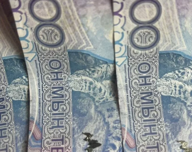 Изображение для новости: Дополнительная пожизненная пенсия за счет работодателя доступна миллионам казахстанцев