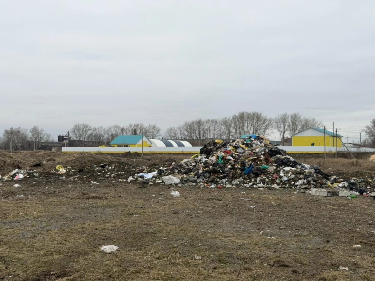 Изображение 1 для Тысячи нарушений и десятки свалок: что происходит в Костанайской области