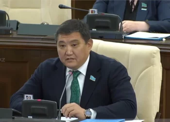 Изображение для новости: «Цены на авиабилеты не понизились, а повысились»: депутат раскритиковал нормы НДС в Налоговом кодексе