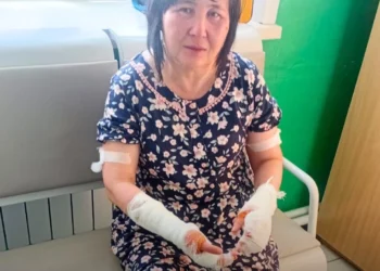Изображение для новости: Барсук напал на женщину во дворе собственного дома в Костанайской области