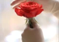 Изображение 4 для Спасибо, доктор: слова благодарности медицинской сестре Алтын Калыковне