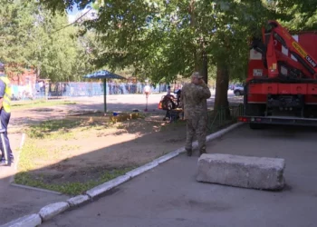 Изображение для новости: Выпуск ТВ-новостей — 17.06.26