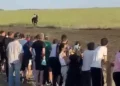 Изображение 2 для Полицейский спас ребенка во время конных скачек в Костанайской области