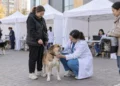 Изображение 4 для Бесплатно привить питомца от бешенства смогут жители Костаная