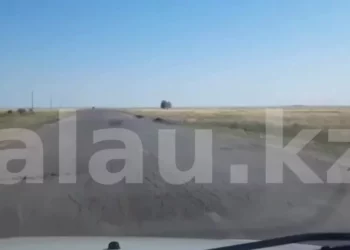 Изображение для новости: Ваши новости: водители показали разбитую дорогу к Наурзумскому заповеднику