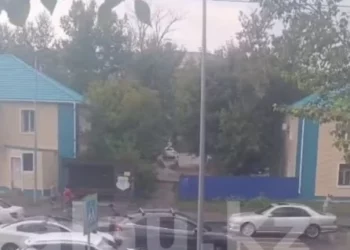 Изображение для новости: Ваши новости: жительница сообщила, что её сбили возле остановки «Хлебозавод»