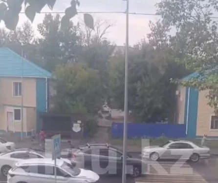Изображение для новости: Ваши новости: жительница сообщила, что её сбили возле остановки «Хлебозавод»