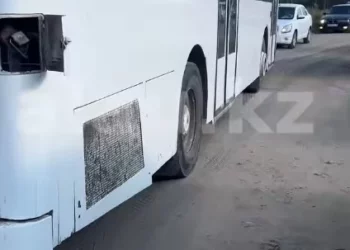 Изображение для новости: Ваши новости: дачные автобусы застревали у пляжа «Мишутка» из-за припаркованных машин