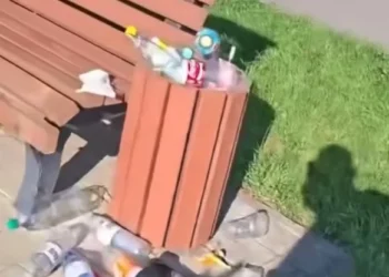 Изображение для новости: Ваши новости: горожане жалуются на переполненные урны