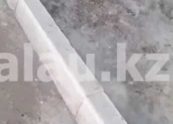 Изображение для новости: Ваши новости: тополиный пух укрыл улицы Костаная