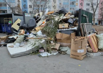 Изображение для новости: Во дворе на Карбышева образовалась свалка